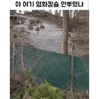 야 여기 염화칼슘 안 뿌렸냐