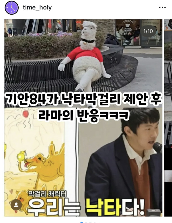 기안84 낙타막걸리 얘기들은 라마 반응ㄷㄷㄷ