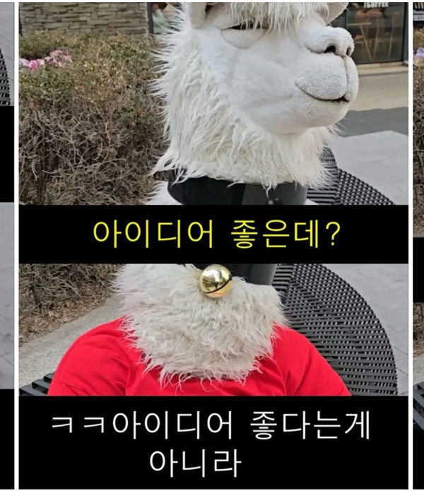 기안84 낙타막걸리 얘기들은 라마 반응ㄷㄷㄷ