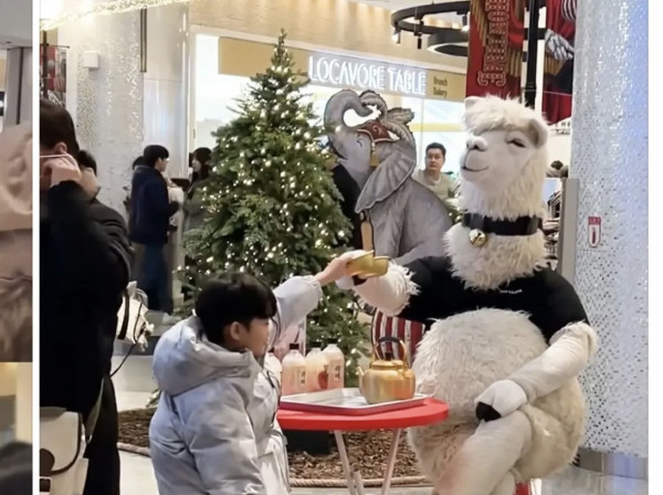 기안84 낙타막걸리 얘기들은 라마 반응ㄷㄷㄷ