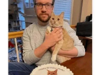 남편과 고양이의 생일이 같다