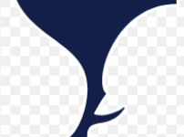 현재  언론에서 나온 이강인을 노리는 팀 리스트