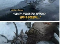 얼어붙은 강에 빠진 사슴 구출
