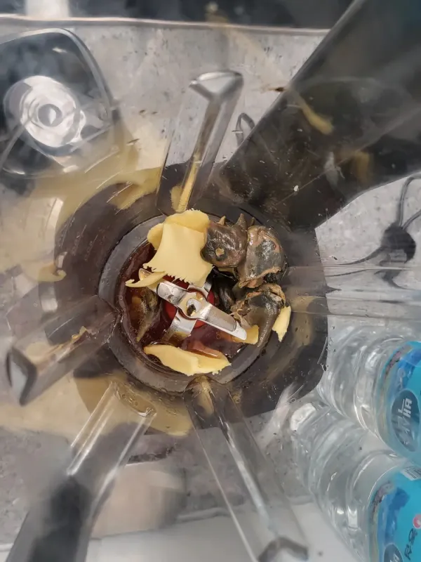 전복술찜 한잔해~