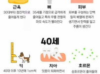 신체부위별 노화 나이