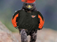 야구는 언제 시작하냐 