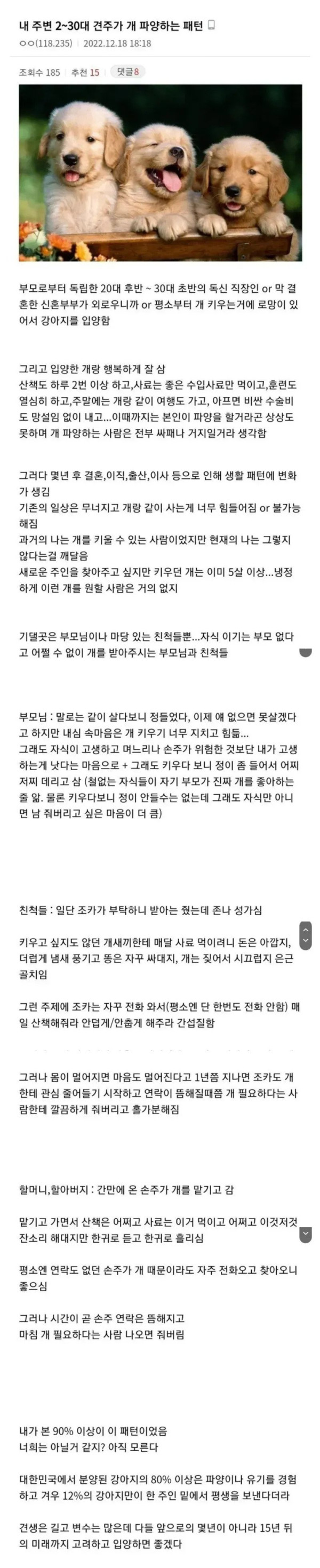 견주가 개 파양하는 패턴