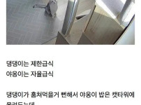 제한급식하는 강아지가 살 찐 이유
