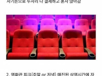 남편과 고양이의 생일이 같다