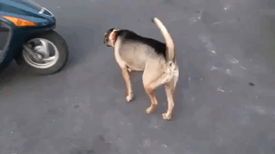 자리 잡았으니 출발하세