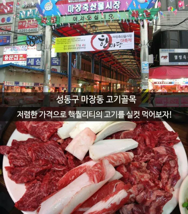 골목골목 먹부림 서울 10대 먹자골목