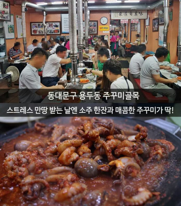 골목골목 먹부림 서울 10대 먹자골목