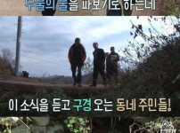 어느 시골 우물의 40년 묵은 장어