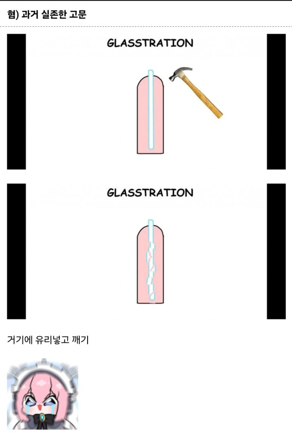 혐) 과거 실존했던 고문