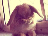 오늘 배구 어디로 가면 좋을까욥?