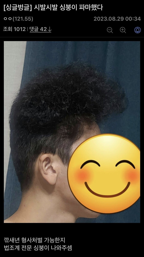 미용사 형사처벌 가능하냐는 디시인.jpg