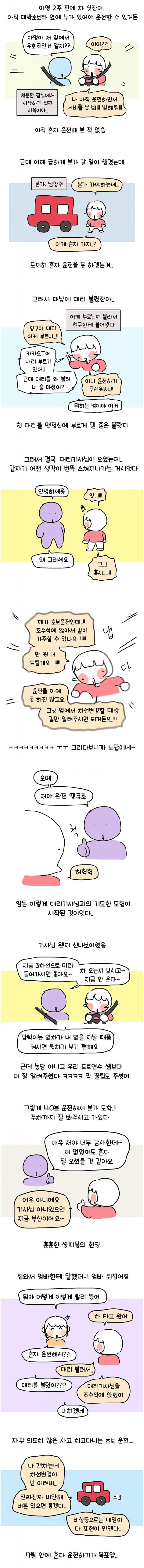 낮에 술도 안마시고 대리운전 부른 썰
