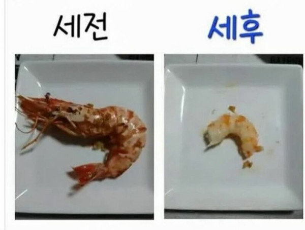 내 월급