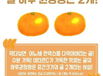 잔문가가 말하는 귤 하루 권장량 ㄷㄷㄷ;;