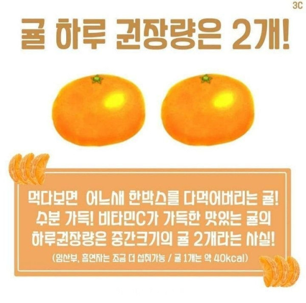 잔문가가 말하는 귤 하루 권장량 ㄷㄷㄷ;;