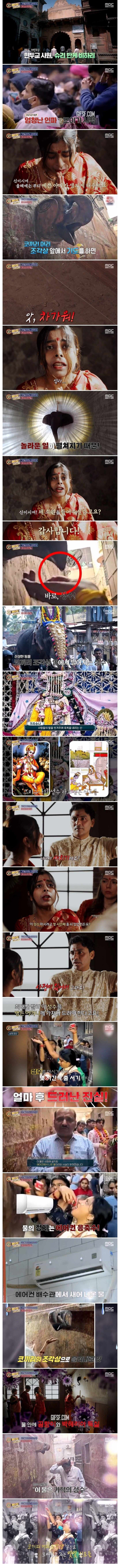 기적의 성수의 정체