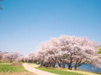 슬슬 풀리는 날씨에 가장 좋은점