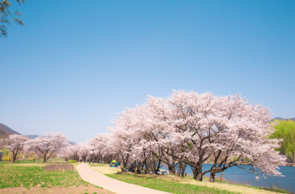 슬슬 풀리는 날씨에 가장 좋은점