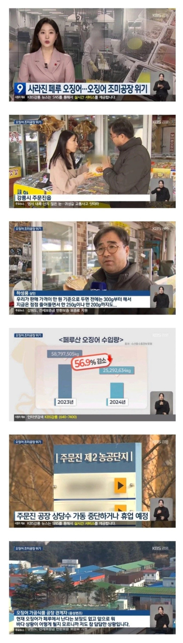 난리난 전세계 오징어 근황