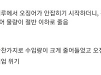 난리난 전세계 오징어 근황