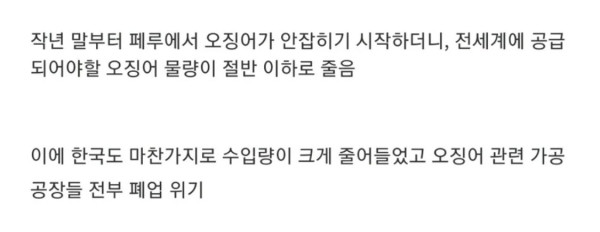 난리난 전세계 오징어 근황