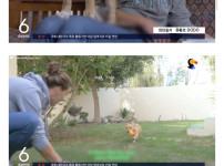 식빵으로 간택당한 유기견