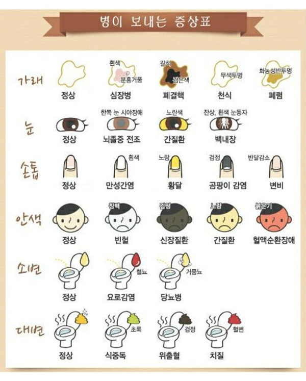 병이 보내는 증상표.jpg