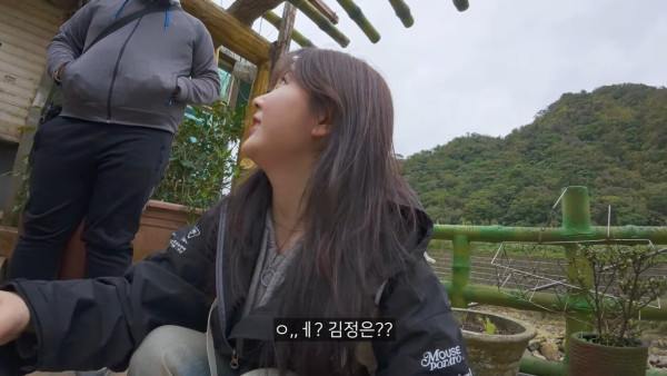 대만에 사는 고양이 이름은 김정은