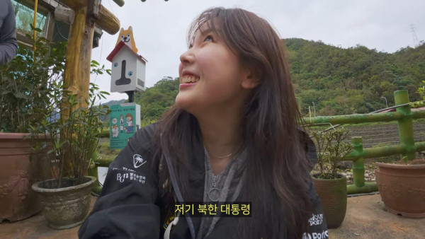 대만에 사는 고양이 이름은 김정은