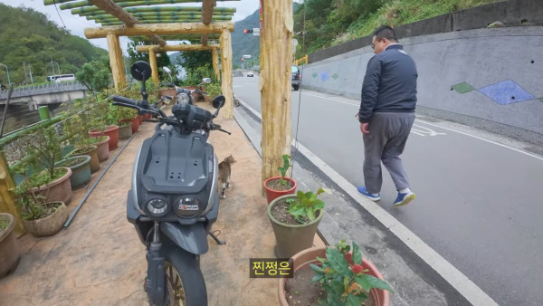 대만에 사는 고양이 이름은 김정은