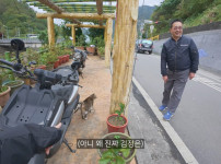 대만에 사는 고양이 이름은 김정은