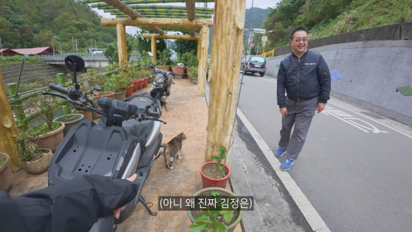 대만에 사는 고양이 이름은 김정은