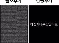 호불호 갈리는 작품 후기