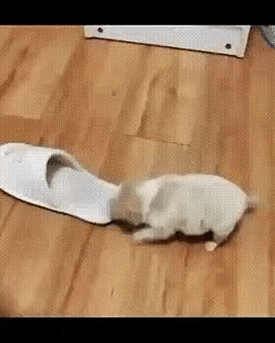 일야라도 있으니까 좀 괜찮네ㅋㅋ