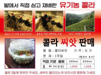 콜라 싸게 먹는법.jpg