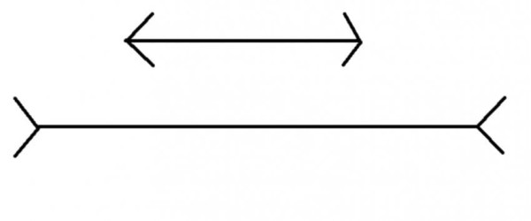 길이가 달라보이는 착시현상