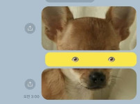 헤어진 여자친구에게 보낸 마지막 카톡.jpg