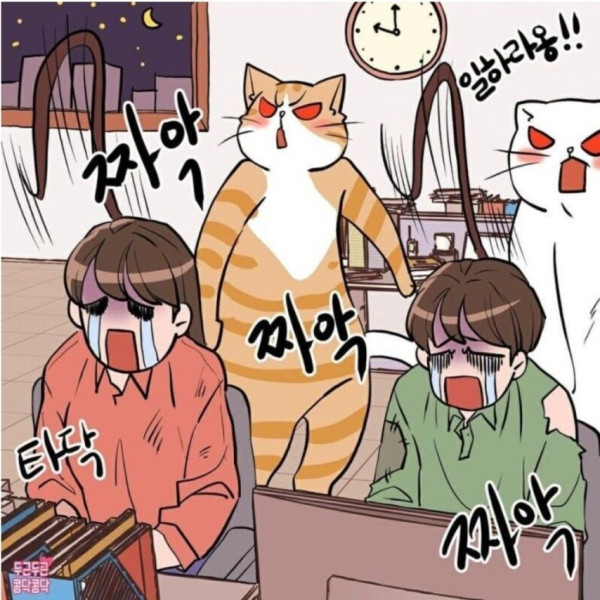 성인 하루 카페인 섭취 권장량