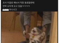 강제로 팀 이동 당하는 친구 프사