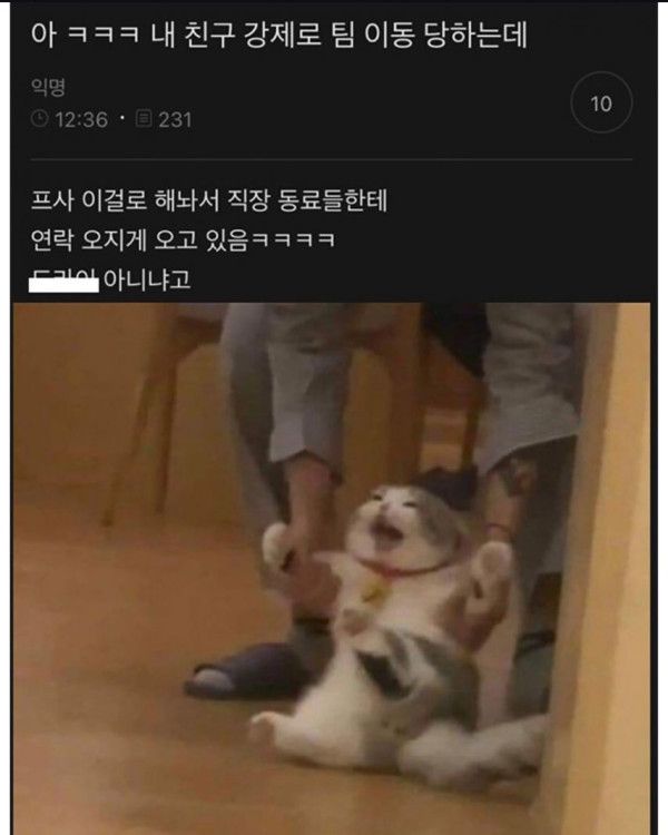 강제로 팀 이동 당하는 친구 프사