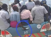 님아 그 손잡이를 잡지 마오