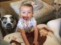 주인아 미안하다 그렇게 됐다