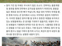 맹수에 필적하는 전투마의 포악함.