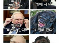 세계 주식시장 현재상황