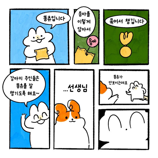 똥츄 잃어버린 만화